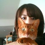 11373893_478260685671843_846699437_a