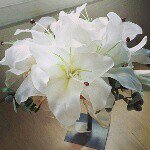 10946336_342140372655177_737323095_a