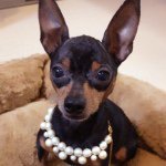 10808856_886595854704421_1178727131_a