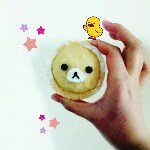 10958175_616286401836415_831623903_a