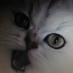 Profile_461001310_75sq_1373551169