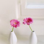 929200_757458627653623_1118226480_a