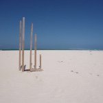 11335483_1467636263532626_1660687523_a