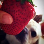 10513780_1559892744281400_1002542582_a