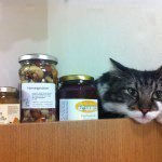 Profile_292230135_75sq_1360883466