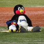 11417447_1141772965837278_1926536918_a