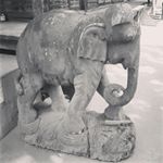 11379954_765268193595148_854390346_a