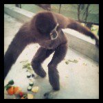 Profile_301586121_75sq_1363650602