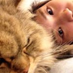 11850356_407897562753986_294103170_a