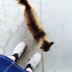 10467946_1441770596083202_1549660130_a