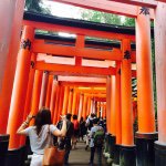 11335089_108161026191237_1259307584_a