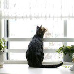 Profile_198773251_75sq_1343261432