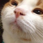 11191368_1598739193733807_1666207385_a