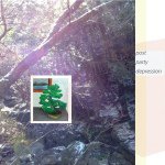 10598667_321113518063056_1475679609_a