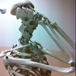 11248836_1618935638364971_1717608220_a