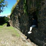 11264735_755579254553917_92718640_a