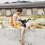 11376290_1616708081921553_380130396_a