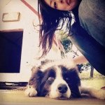 11264742_802667289854994_358536814_a