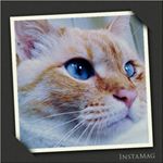 11348357_503264149840255_1841644051_a