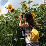 11849790_1197899780223932_2112353337_a