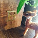 10665639_389013151278421_1360896268_a