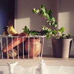 10808732_1435857226742156_716233417_a