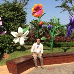 10522827_437607103058650_1337815989_a