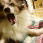 Profile_217604419_75sq_1380162354