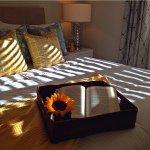 10945243_950911891615126_1596570655_a