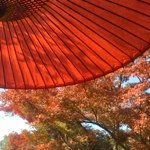 11351780_1690077604546888_2065172623_a