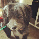 11142275_682998308492317_1293993065_a