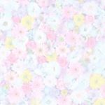 11849995_1020053368014663_841090862_a