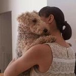 11850351_384836711721088_388621224_a