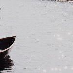 11116836_1562811863983116_791958184_a