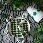 11849460_1702274553337812_2117347184_a