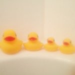 11848856_124536914556145_1676798690_a