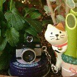 11821340_1647303955539133_1486849515_a