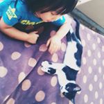 11821261_525031687645247_1584069523_a