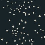 11190268_1440411792922951_1713158965_a