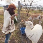 10784960_1487563514866579_596913803_a