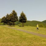 11271162_100620946945747_1606337961_a