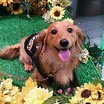 10560992_735407156505933_1893027571_a