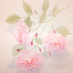 10731889_426631260847889_2066069434_a