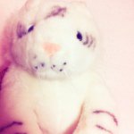 10727412_1471074506506649_140334826_a