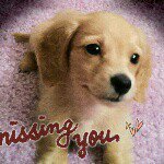 10684207_1526978070850309_1114732726_a