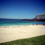 11821736_851075431608294_876652797_a