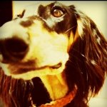 10731931_1644297592483836_1401163375_a