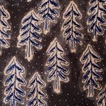 11910449_1687291538166618_1773303705_a