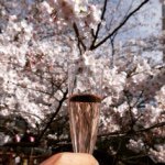 11326287_1454060084906364_2028802518_a