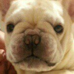 Profile_533970346_75sq_1378017077